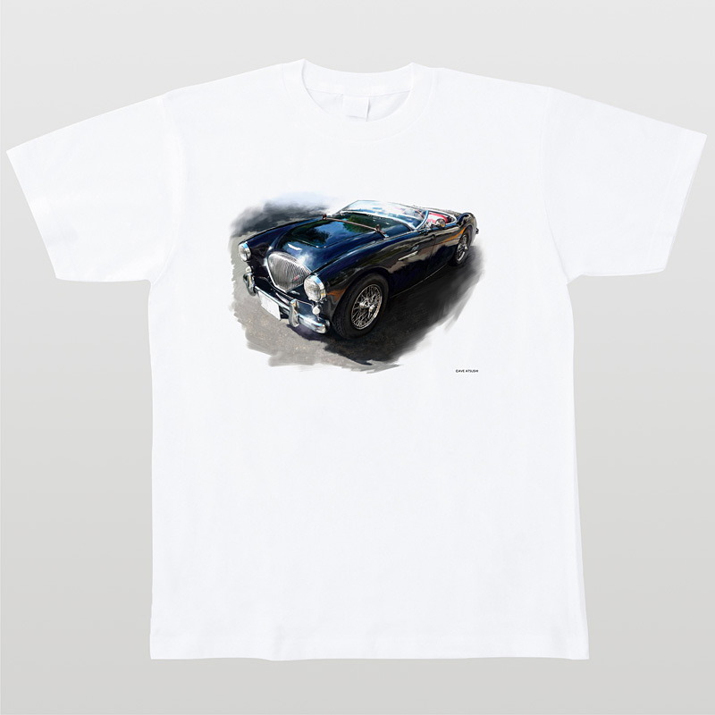 当然ながらTシャツも71種類をラインアップ。価格は送料込みで4500円/枚