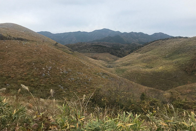 秋吉台。石灰岩柱がニョキニョキ生えている
