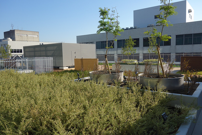 リフレッシュしたいときに持ってこいの屋上庭園は4階にある