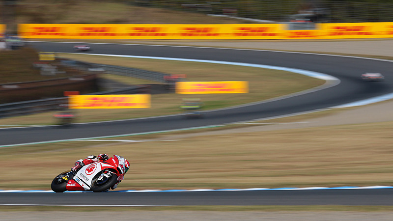 秋になるとS字の芝生の色はイマイチ