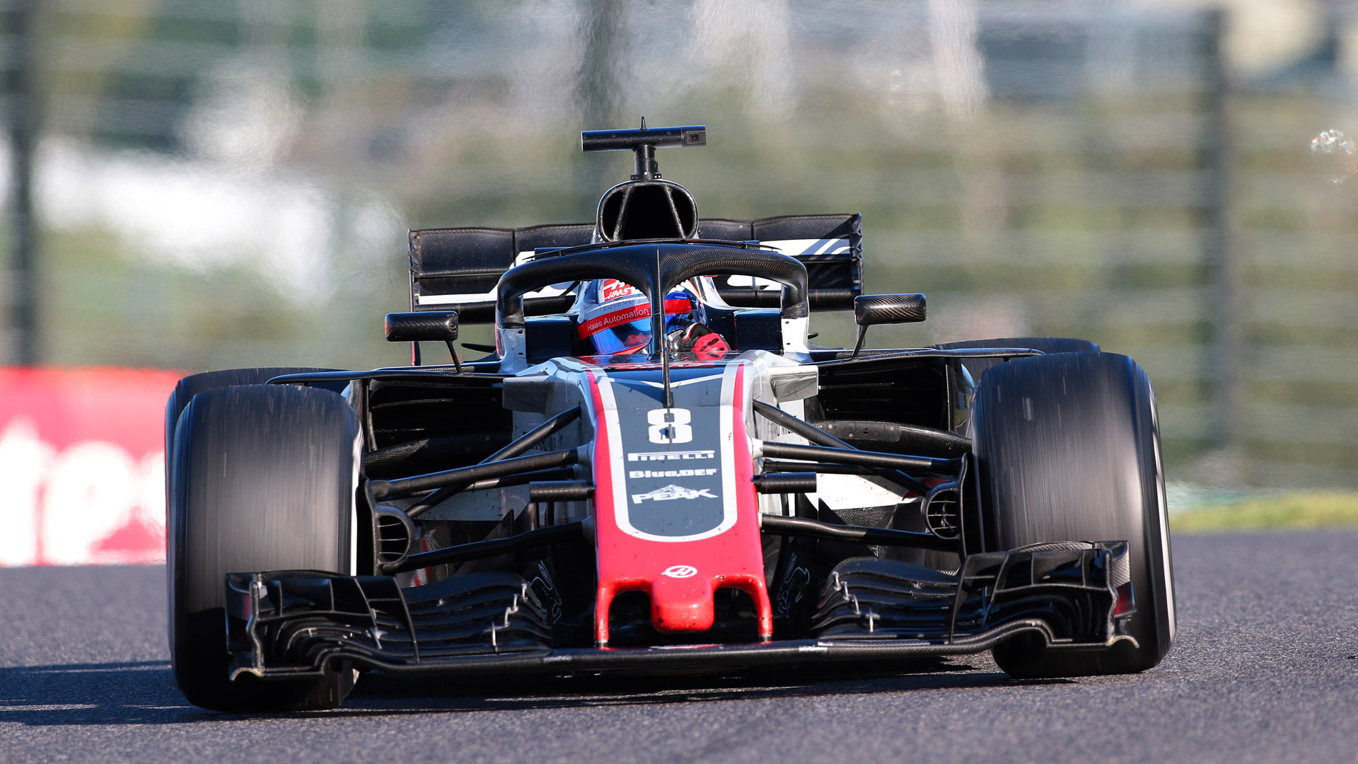 EOS 7D Mark II＋EF600mm F4L IS III USMを使用し、シャッター速度1/500秒で撮影した元画像とレタッチしてフォトギャラリーに掲載した写真