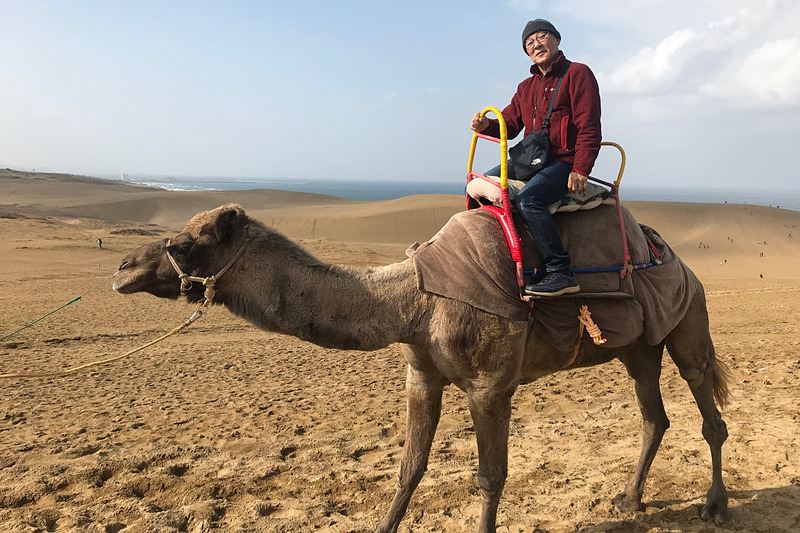 鳥取砂丘でラクダに乗ってきた