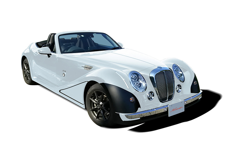 スノーフレイクホワイトパールマイカ