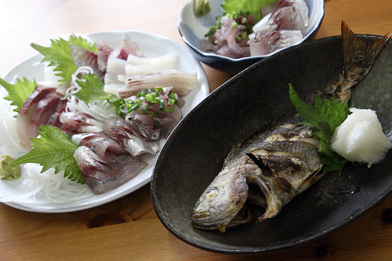 真鶴港でいただいた地魚を使った刺身定食や塩焼き定食。美味しい食事をいただく至福のときをウルスが一層引き立ててくれたのでした