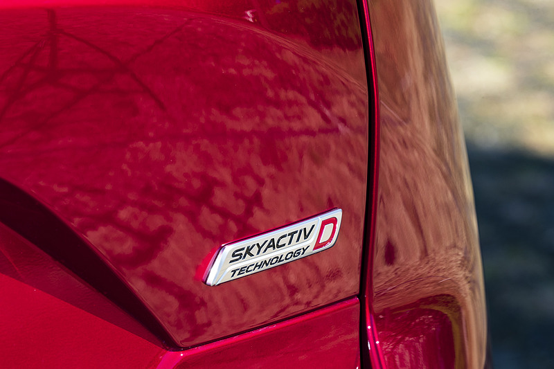 バッヂに「D」の文字が入る