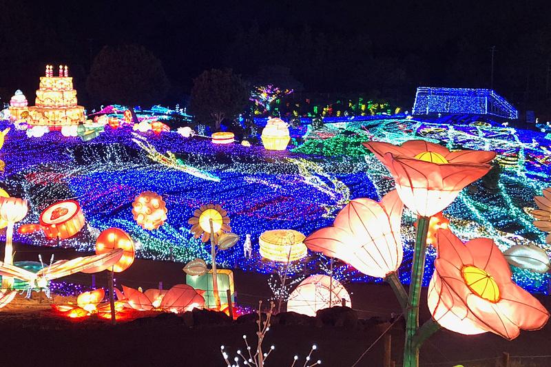 こちらが絶対に見てほしいイルミネーション、伊豆ぐらんぱる公園の「伊豆高原グランイルミ」です。いろんなエリアがあって、それぞれに世界観が確立しているのも素晴らしいし、大きくて高い立体の3Dイルミに圧倒されます。子供が喜ぶ魚や動物のイルミもたくさんあって、何周もしたくなるくらい、感動的でした。4シーズン目のイルミネーションはどうなっているのか、楽しみです