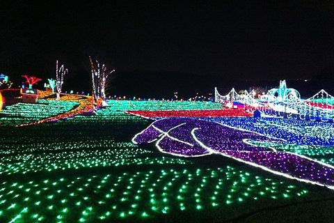 まるも亜希子の「寄り道日和」】冬のお楽しみ、イルミネーション