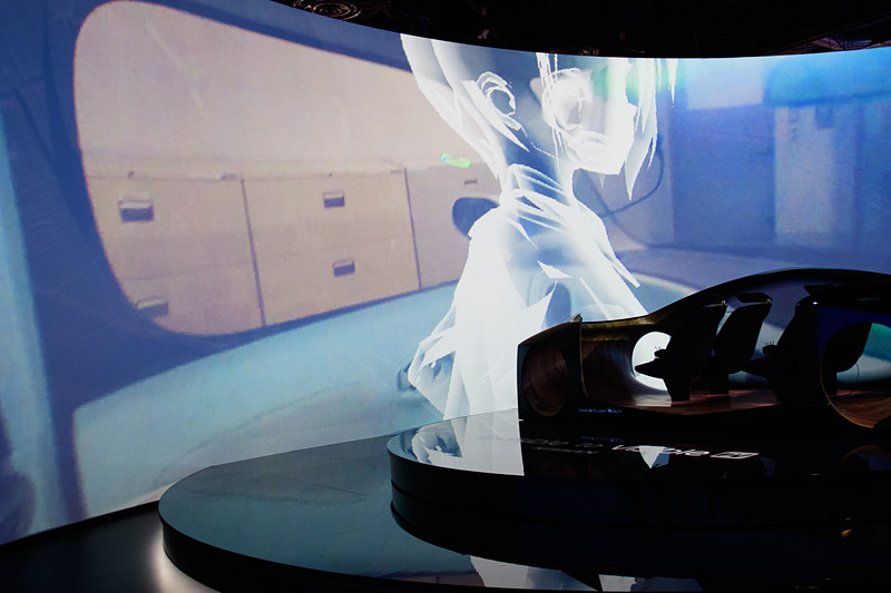 どう見ても、アニキャラ系