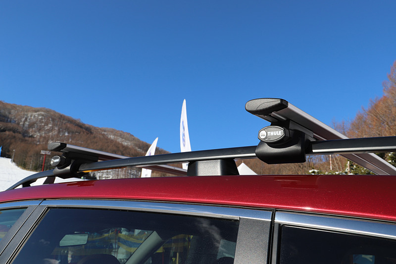 ルーフにはスーリー（THULE）のキャリアを備える