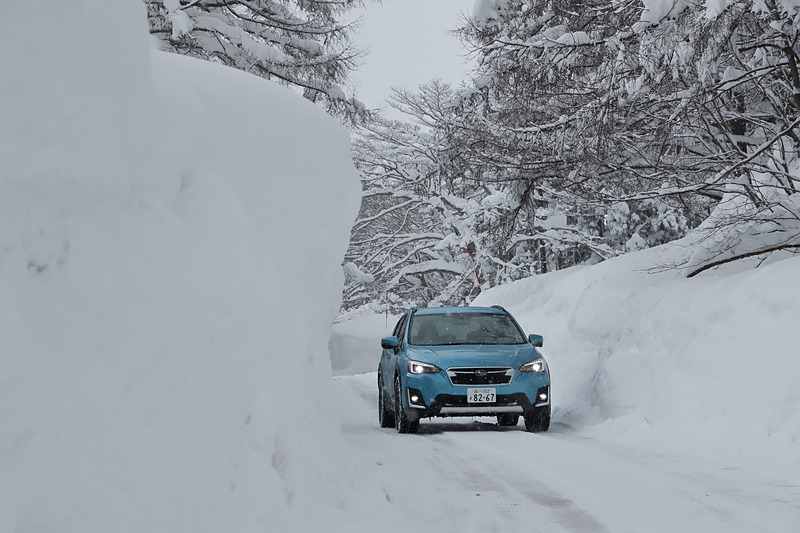 信濃町IC（インターチェンジ）周辺もちょこっと走ってみた。高い雪壁が立山黒部アルペンルートのようで、少しだけワクワクした気持ちになった。もちろん、こっちの雪壁の方がだいぶ低い。はず