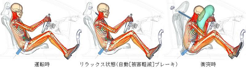 THUMS Version 6 リラックス状態（自動［被害軽減］ブレーキ作動）