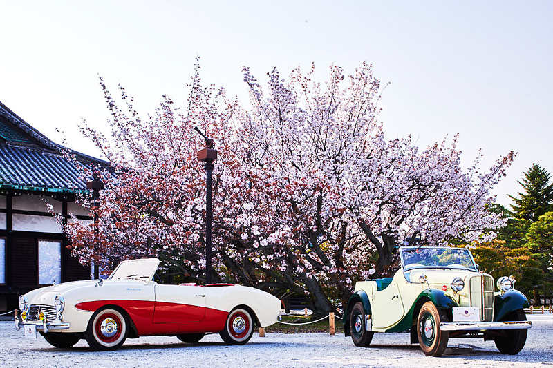 通常非公開エリアの「二の丸御殿中庭」にビンテージカー約50台が展示される
