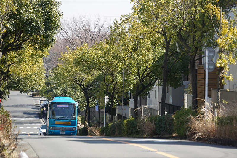 運行ルートは街路樹が走行路の上空までせり出している