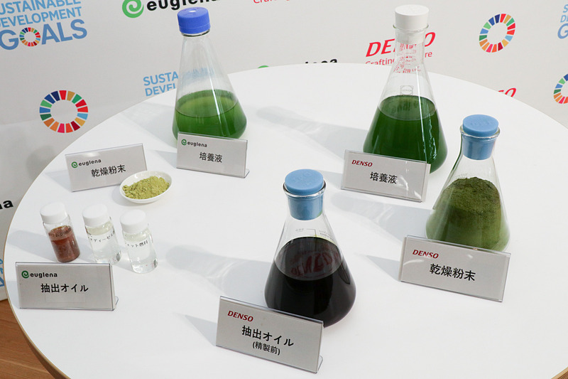 ユーグレナとデンソーで扱っている微細藻類の展示品。左側がユーグレナの微細藻類「ユーグレナ（和名：ミドリムシ）」で、右側がデンソーの微細藻類「コッコミクサ KJ（旧名：シュードコリシスチス）」