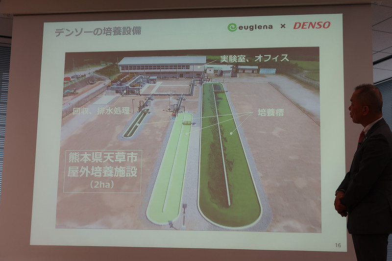 熊本県天草市の廃校跡地を利用し、大規模な屋外培養を実施中