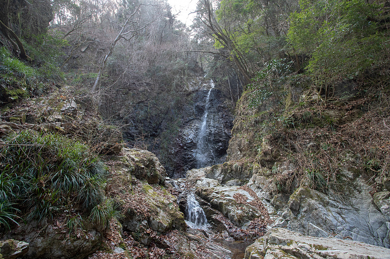 これが払沢の滝。当日は凍ったところは一切なく、しばらく雨も降っていなかったので水量も少ないかも