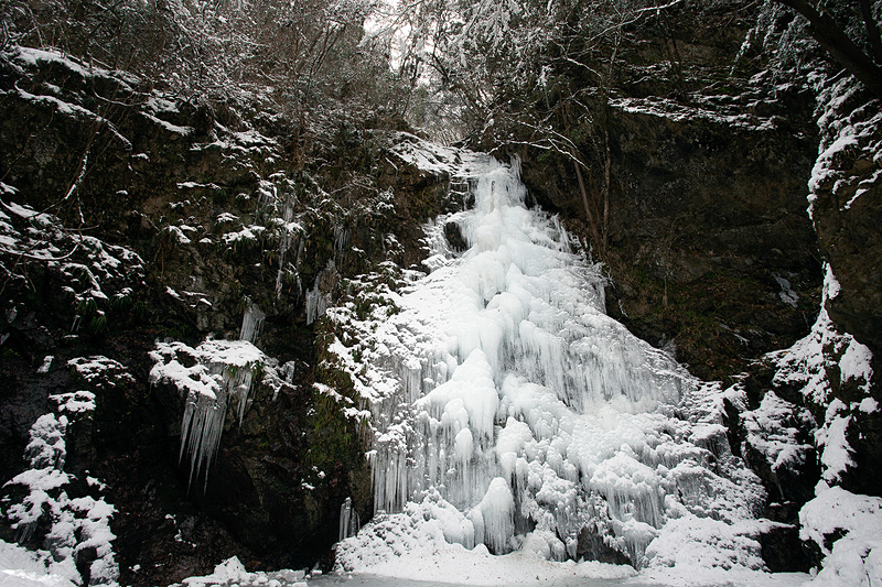 この日は滝壺まで完全に凍っていた。2019年は完全に凍った日がなかったようだ