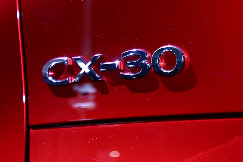リアゲートにはCX-30とSKYACTIV Xのロゴが入っている