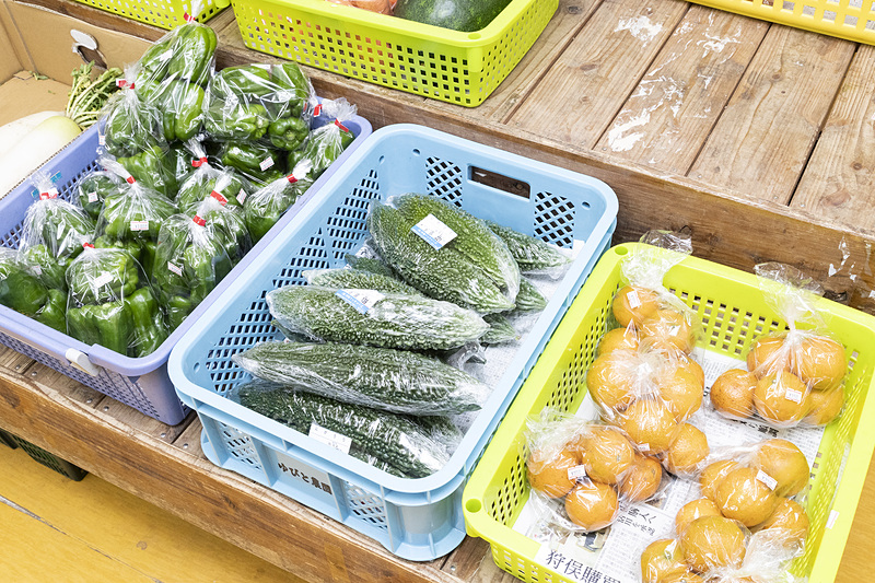 地元産の野菜や弁当などが購入できる