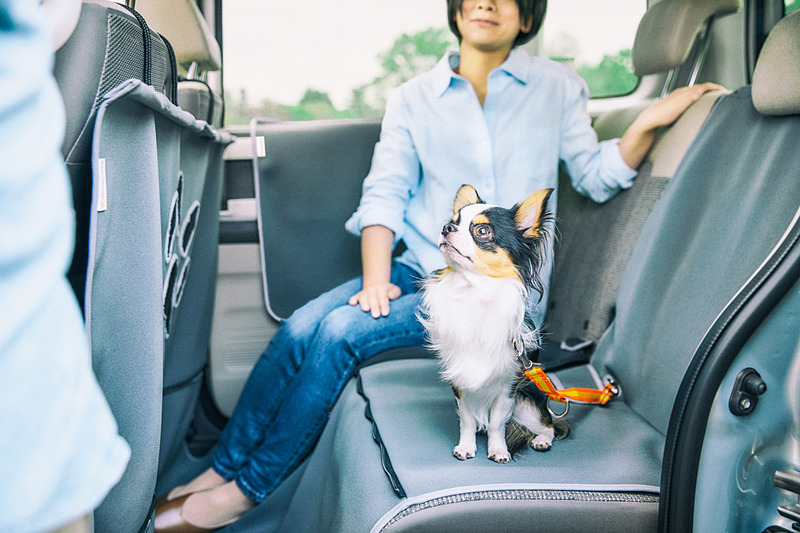 ホンダ純正愛犬用アクセサリー「Honda Dog」シリーズは、2019年1月に追加発売された新色のグレーのアイテムを中心に展示