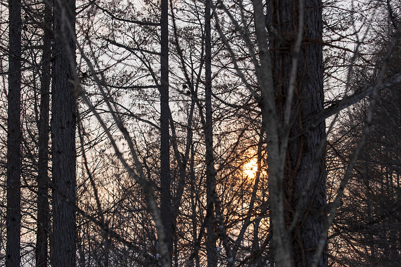 朝から日が暮れるまで、充実した試乗会だった