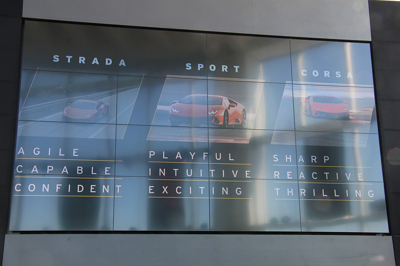 ストラーダ、スポーツ、コルサといった運転モードでドライバーが好みの走行性能を選べる「ANIMA」もLDVIで制御。運転モードが発揮する運動性能がより明確化される