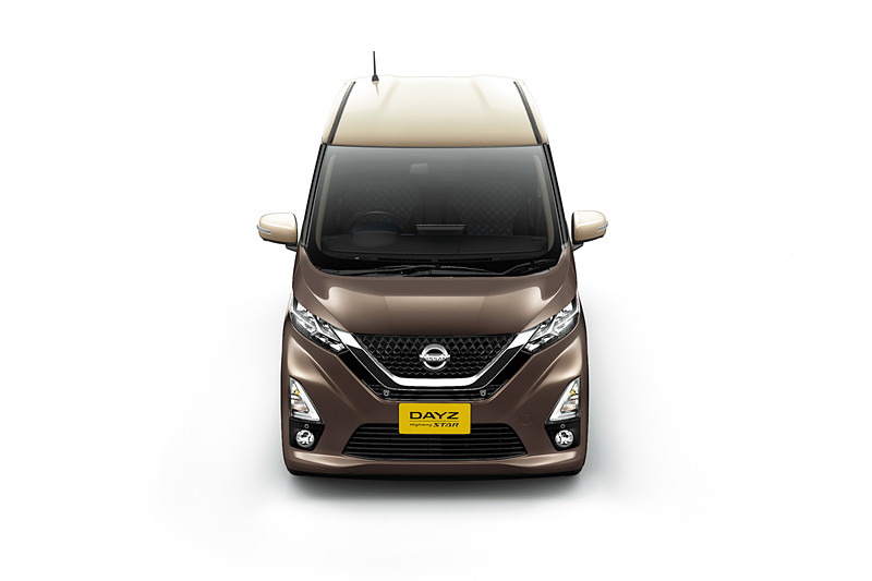 アッシュブラウン/フローズンバニラパール（特別塗装色）