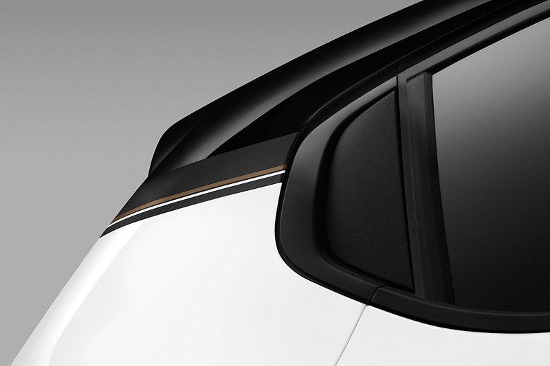 ドアミラー、ルーフステッカー、Cピラーにブロンズカラーのストライプデコレーションを設定