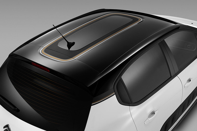 ドアミラー、ルーフステッカー、Cピラーにブロンズカラーのストライプデコレーションを設定