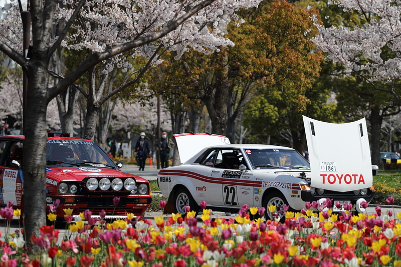 季節にも天候にも恵まれた会場で、オーナーの想いが目いっぱい詰まったクルマを眺めるのはとても楽しいものだ
