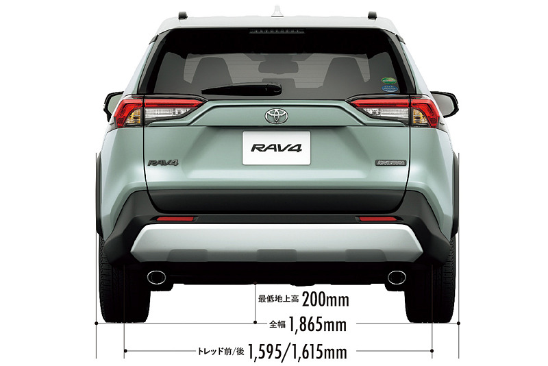 ボディパフォーマンス（リア）