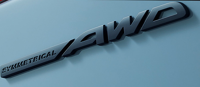 LEVORGリアオーナメント（ラスターブラック）