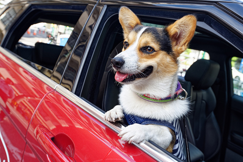 ヴァレオが車内の幼児やペットの命を守る「幼児置き去り検知システム」を開発