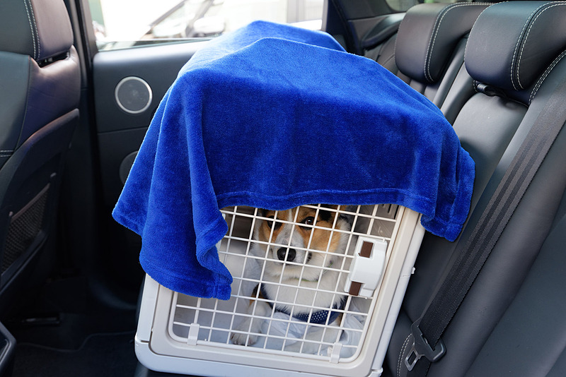 さらに上から布をかぶせても検出。このとき、運転席に座っている大人のドライバーもしっかり表示された