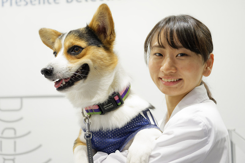 幼児置き去り検知システムの動作などを確認できる