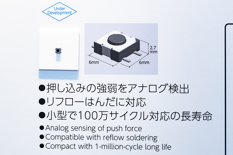 スイッチはこんなに小さい