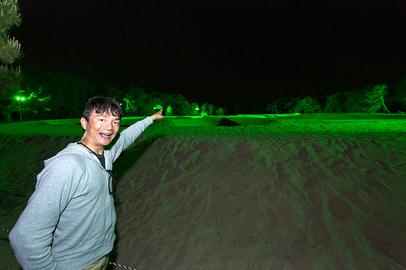 「寛永通宝銭形」の砂絵を見学。日没から22時まで写真のようにグリーン（通常時）でライトアップされ、期間限定でゴールドやブルーにもなるとのこと。いい新居が見つかりますように……（笑）