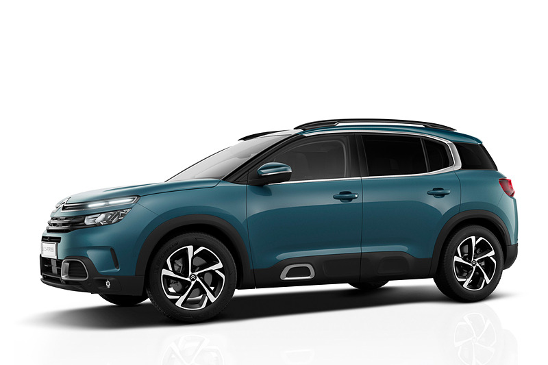 ブルー チジュカ