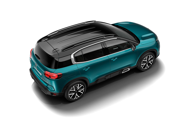 ブルー チジュカ