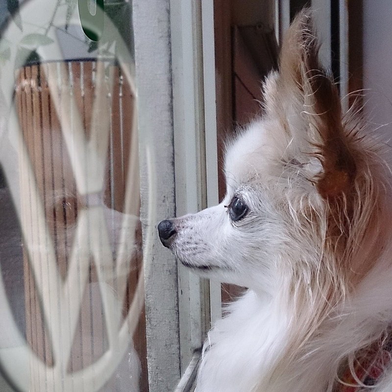 2018年の優秀作品