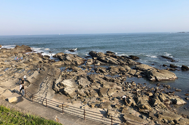 三方を太平洋と利根川に囲まれた半島という、ダイナミックな大地が堪能できる「銚子ジオパーク」として複数の見どころを持つ銚子ですが、ここはそのうちの1つ「犬吠埼ジオサイト」。1億年以上前の地層が顔を出しているのは、周辺ではここだけだそうですよ