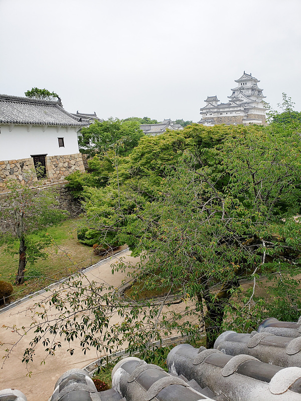 西の丸からの姫路城。大坂夏の陣で救い出された秀頼の正室で家康の孫となる千姫が、戦後、本多忠刻の正室となり住まいにしたのが西の丸である。千姫は数奇の運命をたどったが、その後大奥で力を発揮したとされる。70歳で江戸で没した