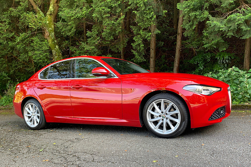 復活した「ジュリア」。個性的な顔で意外とノーズが長い