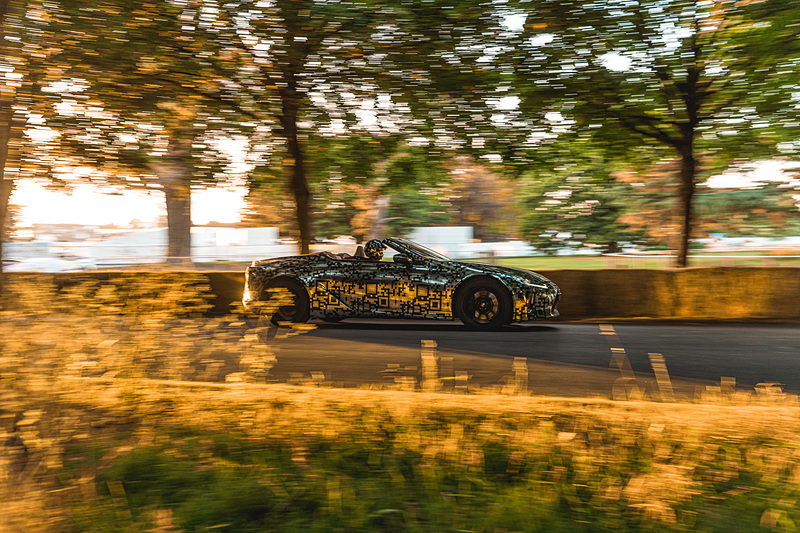 独自のカモフラージュを施した状態でヒルクライムを走行