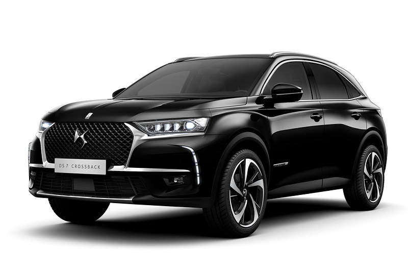 ノアール ペルラネラ