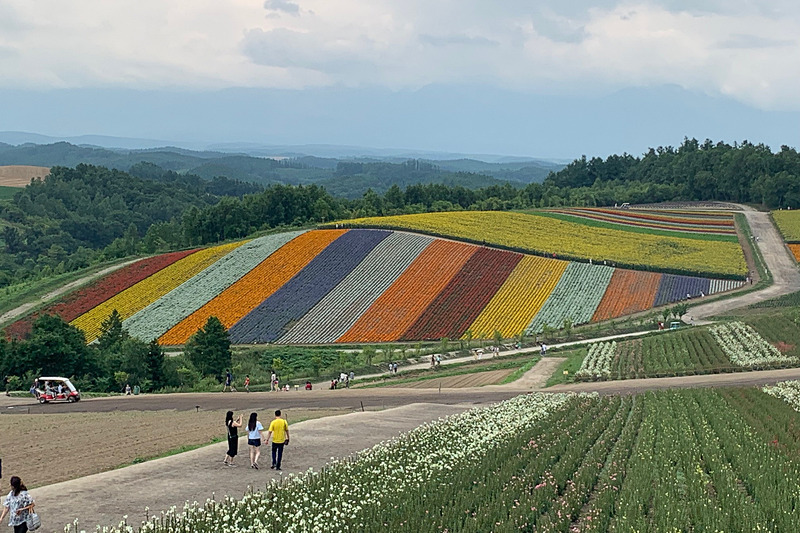 四季彩の丘。外国人観光客がたくさん！