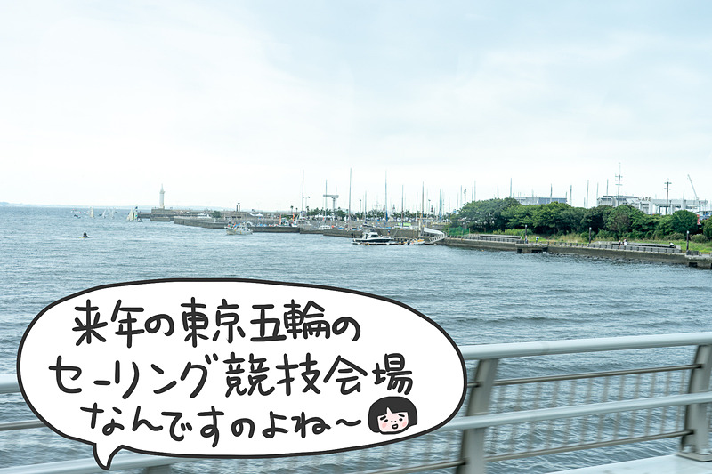 自動運転に慣れてきて、景色を眺める気持ちの余裕も