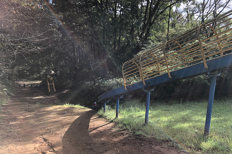 水戸市森林公園に4か所ある駐車場のうち、「森のシェーブル館」駐車場に停めて恐竜広場方面へ歩いていくと、左手に見えてくるのがこの「ジャンボすべり台」。里山の急斜面を利用して作られているので、まぁスリル満点です。いちばん下まですべり降りると、プラテオサウルスがでーんと出迎えてくれますよ～
