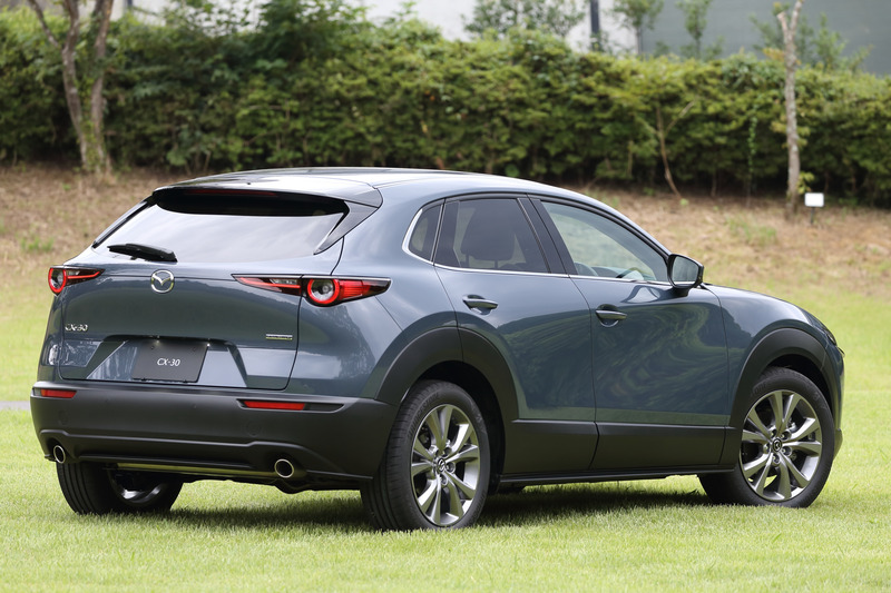 ポリメタルグレーメタリックの20S PROACTIVE Touring Selection