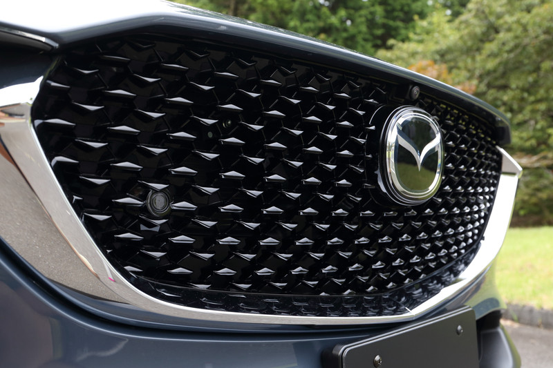 グロスブラックのフロントグリル（20Sを除く）